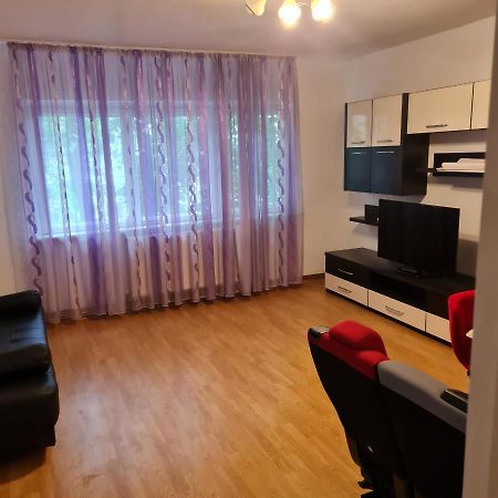 Apartament 2 Camere - Pitesti / 2-Rooms Apartment - ピテシュティ エクステリア 写真