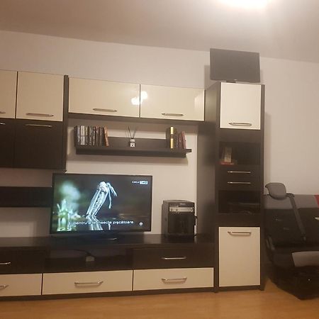 Apartament 2 Camere - Pitesti / 2-Rooms Apartment - ピテシュティ エクステリア 写真