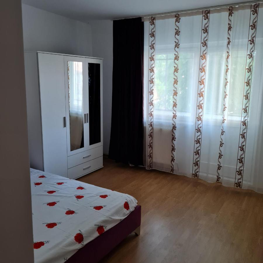 Apartament 2 Camere - Pitesti / 2-Rooms Apartment - ピテシュティ エクステリア 写真