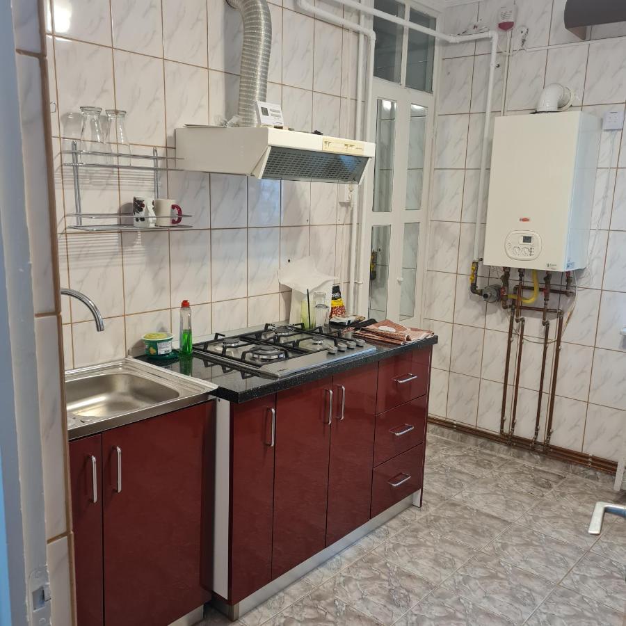 Apartament 2 Camere - Pitesti / 2-Rooms Apartment - ピテシュティ エクステリア 写真
